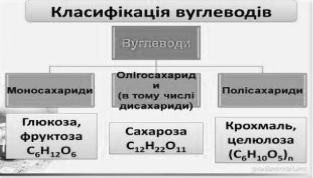 C:\Users\Наташка\Documents\thumb_6.jpg